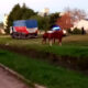 caballo 80x80