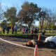 caballo1 80x80