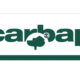 carbap 80x80