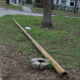 columna1 80x80