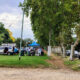 feria1 80x80