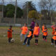 escuelitas1 80x80