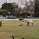 futbol2 80x80