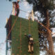 scout1 80x80