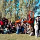tractor 80x80