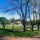 cancha1 80x80