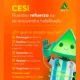 cestel 6 80x80