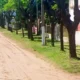 polvaredas 3 80x80