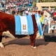 santarita1 80x80