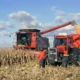 goro agricola 80x80
