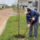 arbolado 80x80