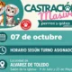 castracion 80x80