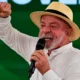 lula 80x80