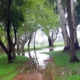parque 80x80