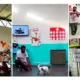 perros 80x80