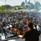 vivero26 80x80